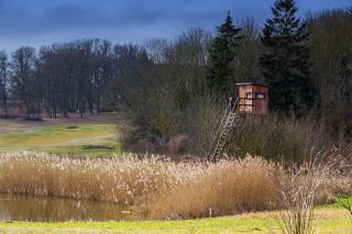 TINY HOUSE FLEESENSEE mit eigenem Garten und nur wenige Meter vom Seeufer - Göhren-Lebbin - 2