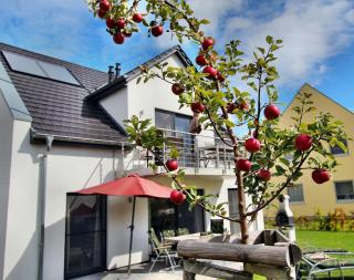 Villa Hügel Maisonette Wohnung - Göhren-Lebbin - 2