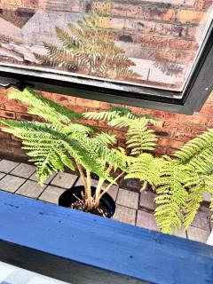 Cozy Suburban Escape - 1