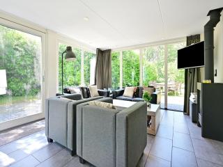 Chalet with gorgeous view of the natural surroundings - Weerselo - 9