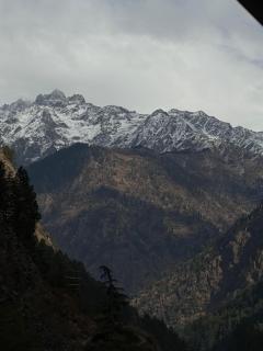 Alpine Guest House - 3