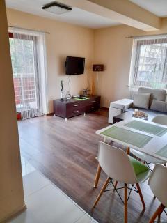 Apartament Viva Centrum - 1