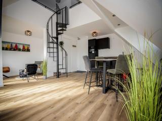 Bright apartment within walking distance of the Sneekermeer - Offingawier - 2