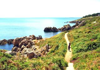 Gîte entre Paimpol Bréhat et Perros Guirec Côte de Granit Rose Vue terre mer - Plouguiel - 6