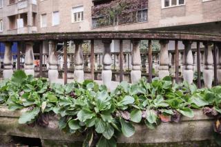 HACCA Collection - Charming gem in Corso Magenta & Sant'Ambrogio - Milan - 3