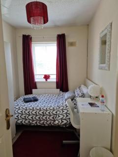 FEMALES Only - Lucan - 9