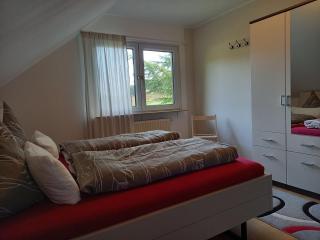 Ferienwohnung Mossauer Hoehe - Mossautal - 1