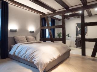 Spacious 130 sqm Home with Master Bedroom on Alsace Wine Route, Easy Access, Private Garage - Marlenheim - 9