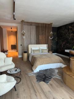Alpine Oasis - Silver Mountain - Poiana Brașov - 6
