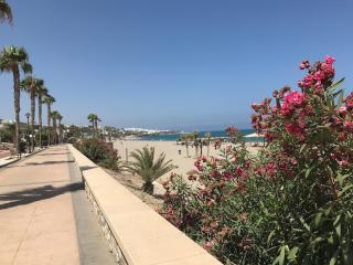 1st floor Penthouse sea and mountain view 5 min stroll to beach - Mojácar - 3