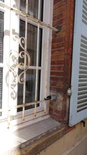 Central, charming and peaceful - Toulouse - 7