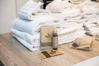One Only Losone Suite - Losone - 8
