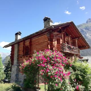 Au Rascard - Chalet d'hôtes - Brusson - 0