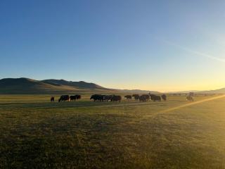 Yurts in an Nomadic family - - 4