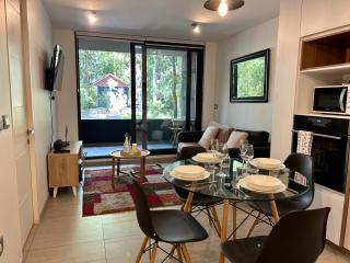 Departamento Pucón Andino Limited - 7