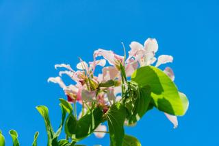 Modern Apartment near the Beach - 7