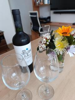 Apto esq 4 Mares, con parrillero y todas las comodidades - 8