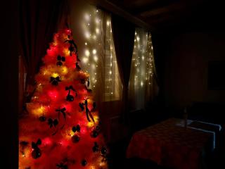Hakobyan 84 Guest House Gyumri - Guiumri - 6