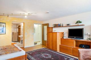 Ferienwohnung bei Franka mit Sauna - Friburgo em Brisgóvia - 2