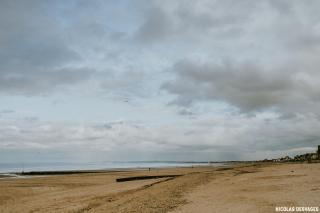 Petit nid en bord de mer - Ouistreham - 5