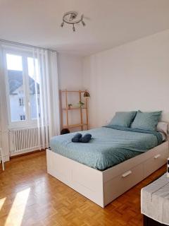 Comfortable 1 bd apt - Peseux - 0
