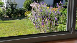 Apartment Blumengruß - 7