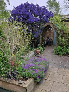Quiet Spacious House with Parking & Secure Garden - Cambridge - 8