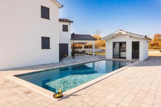 Villa Vilma-house with heated pool & garden - Trilj - 6