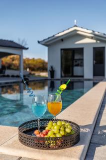 Villa Vilma-house with heated pool & garden - Trilj - 0