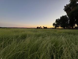 The Stables Kakamas Self Catering - 3