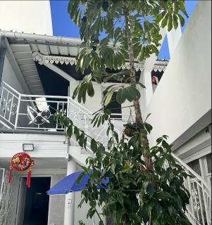 T5 au Jardin de l'Etat Centre historique à Saint-Denis de la Réunion - 5