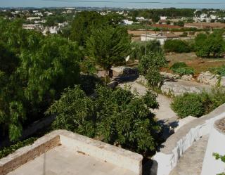 Trullo Il Tesoro - Cisternino - 3