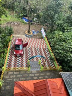 Vagamon green cardomon - 7