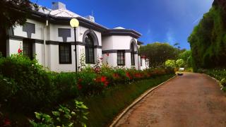 Royal Cocoon - Nuwara Eliya - 0