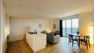 ApartmentInCopenhagen Apartment 1669 - 3