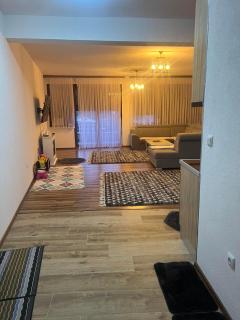 Apartman Iman - Vlasic - 9