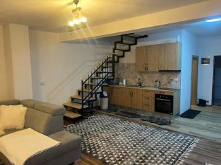 Apartman Iman - Vlasic - 5