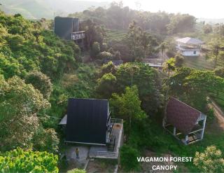 Vagamon forest canopy - Vagamon - 1