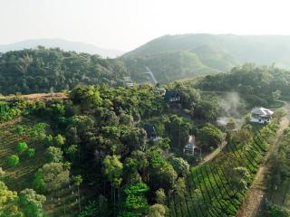 Vagamon forest canopy - Vagamon - 4