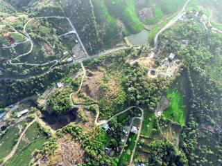 Vagamon forest canopy - Vagamon - 6