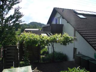 Ferienwohnungen Erna Franz - Bad Waldsee - 6