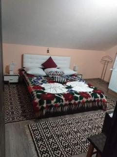Casa Alina Breb - Breb - 7