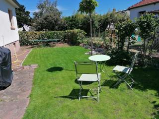 Rare Maison moderne proche centre avec jardin parking gratuit - Colmar - 7