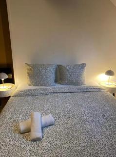 Magnifique Duplex à 600m du Martroi - Orléans - 5