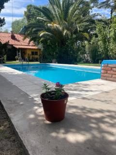 Escapada Exclusiva en Finca con Viñedos y Olivares Relájate en la Naturaleza con Confort y Encanto - San Rafael - 8