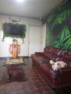 Casa Nova - San José - 2
