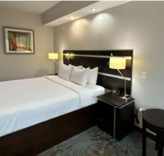 Fairfield Inn and Suites by Marriott North Spring - Spring - 1
