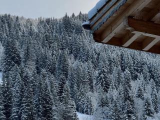 Great apartment close to the romantic Arnen lake - Gsteig - 3