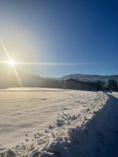 Obermühlhof - Saalfelden am Steinernen Meer - 7