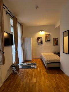 Hidden Gem in Old Town - Graz - 7